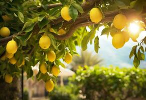 AI generated Lemons growing in a sunny garden on Amalfi coast in Italy. AI Generated photo