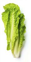 AI generated Lettuce isolated on white background. AI Generated photo