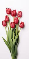 AI generated Red tulips isolated on white background. AI Generated photo