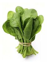 AI generated Bunch of spinach isolated on white background. AI Generated photo