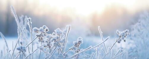 AI generated Frozen snowy grass, winter natural abstract background. beautiful winter landscape. AI Generated photo