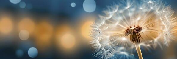 AI generated Abstract blurred nature background dandelion seeds parachute. Bokeh pattern. Generative AI photo