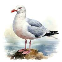 AI generated Watercolor seagull isolated on white background. AI Generated photo