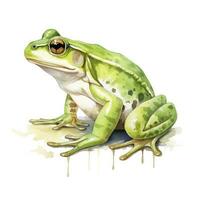 AI generated Watercolor green frog on white background.  AI Generated photo