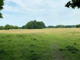 A view of the Cheshire Countryside in the summer near Knutsford photo