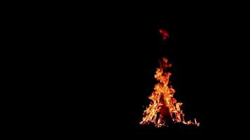 ardente fuoco di bivacco collocato su il giusto lato di il telaio, isolato su nero sfondo. fiammeggiante falò nel notte foresta. statico tiro video