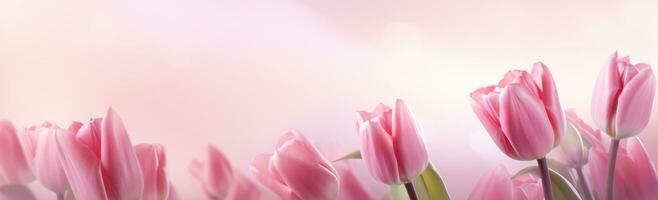 AI generated springtime pink tulips with a light pink background, photo