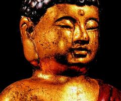 a golden buddha statue with a black background photo