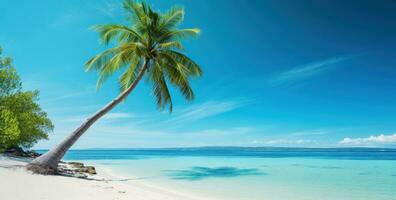 ai generado palma árbol en el playa foto