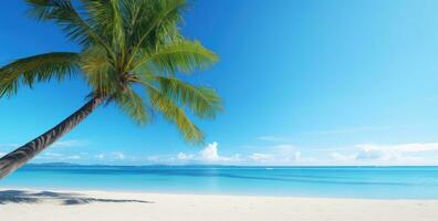 ai generado un imagen de un palma árbol en un blanco arenoso playa foto