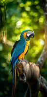 AI generated A majestic macaw posing on a tree trunk, with its vibrant blue and green feathers shining photo