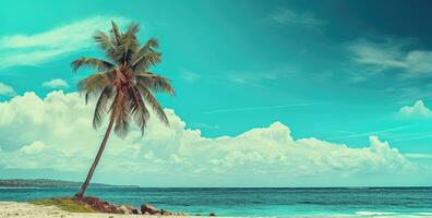 ai generado un palma árbol a el playa playa foto