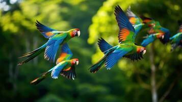 ai generado un rebaño de loros en vuelo, su vibrante plumaje contrastando en contra el lozano verde follaje foto