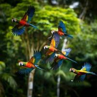 AI generated A flock of parrots in flight, their vibrant plumage contrasting against the lush green foliage photo