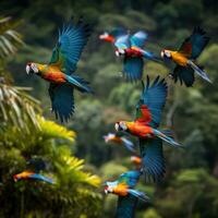 AI generated A flock of parrots in flight, their vibrant plumage contrasting against the lush green foliage photo