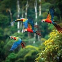 AI generated A flock of parrots in flight, their vibrant plumage contrasting against the lush green foliage photo