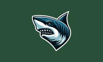 head shark angry vector illustration artwork design