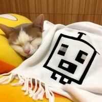 a cat is sleeping wearing a blanket, AI generated. photo