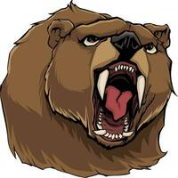 enojado oso en blanco vector