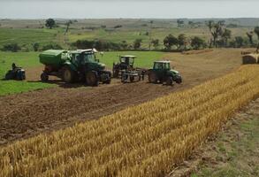 ai generado armonía de el campos el africano agricultores sinfonía foto