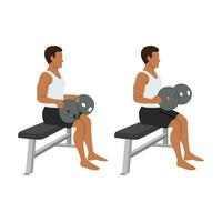 Man doing seated weight plate palm down wrist curls or forearm curls or weighted neutral wrist curl exercise. vector