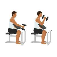 Man doing seated dumbbell preacher bicep hammer curls exercise. vector