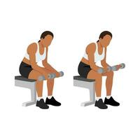 Woman doing seated dumbbell palm down wrist curls or forearm curls exercise. vector