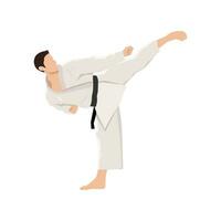 Karate kick. Martial arts. Inscription on illustration is a hieroglyphs of karate. vector