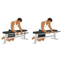 Man doing barbell reverse wrist curl on a bench exercise. Forearm exercise. vector