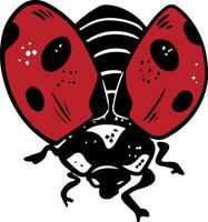 Single sketch style crawling red ladybug illustration black lineart isolated on white background vector