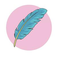 hand drawn bird feathers vector