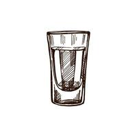 Hand-drawn shot glass with tequila. Design element for the menu of bars and restaurants, alcohol stores. Vector sketch illustration in engraving style. Mexican, Latin America.