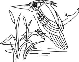 Halcyon bird. Kingfisher bird. Vector illustration for coloring page.