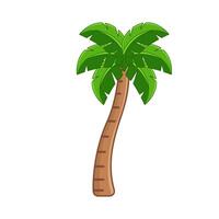 palm tree illustration vector