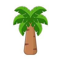 palm tree illustration vector