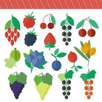 A set of colored illustrations of berries in a flat design vector