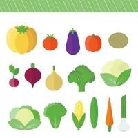 A set of colored illustrations of vegetables in a flat design vector