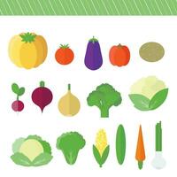 A set of colored illustrations of vegetables in a flat design vector