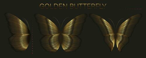 Set of gold butterflies on a black background. Composition from bright lines. Vector illustration.