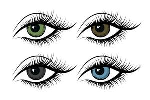 Women's eyes, icons set. The eyes are blue, green and brown. Illustration, vector