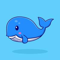whale in swimming pool illustration vector