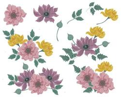 Hand Drawn Clematis and Anemone Flower vector