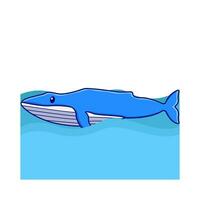 whale in swimming pool illustration vector