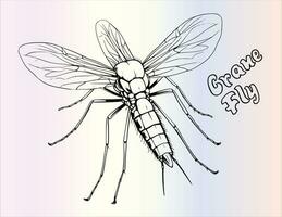 Crane Fly Coloring Page for Kids vector