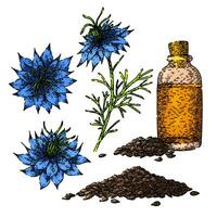 nigella sativa conjunto bosquejo mano dibujado vector