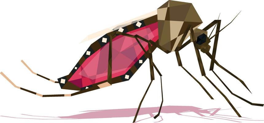 polygonal mosquito with blood