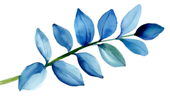 ai generiert Aquarell Blau Ast Blätter Blumen- Pflanze Wald Kräuter isoliert auf Weiß Hintergrund. botanisch Frühling Sommer- Blatt Illustration zum Hochzeit Einladung Karte, Rahmen und Kranz. png
