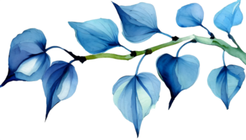 ai gegenereerd waterverf blauw Afdeling bladeren bloemen fabriek Woud kruiden geïsoleerd Aan wit achtergrond. botanisch voorjaar zomer blad illustratie voor bruiloft uitnodiging kaart, kader en lauwerkrans. png