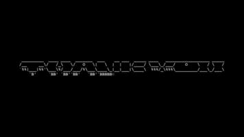 Thank you ascii animation loop on black background. Ascii code art symbols typewriter in and out effect with looped motion. video