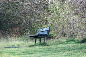 Trees and Plants at Countryside of England UK photo